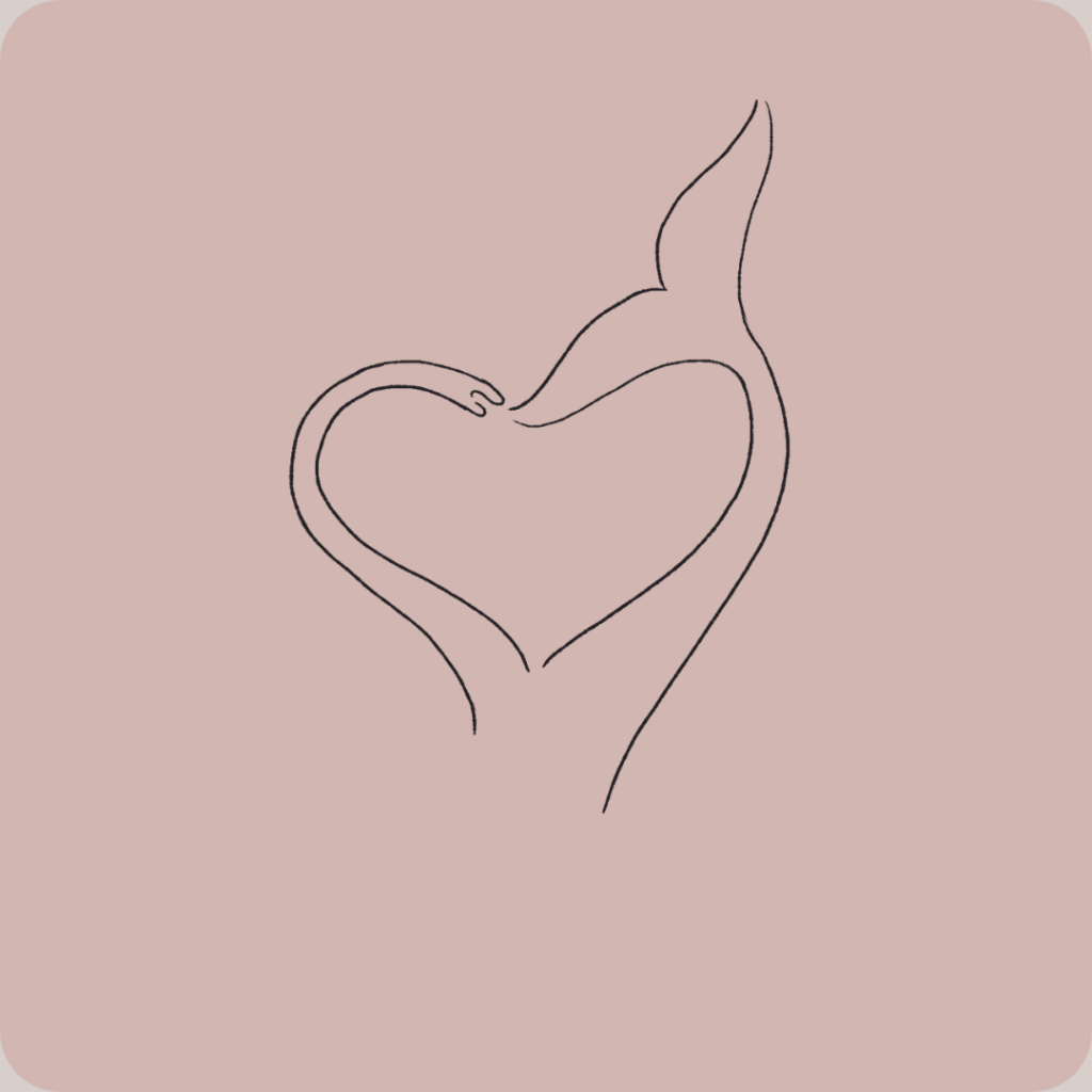 Stress, stress, stress