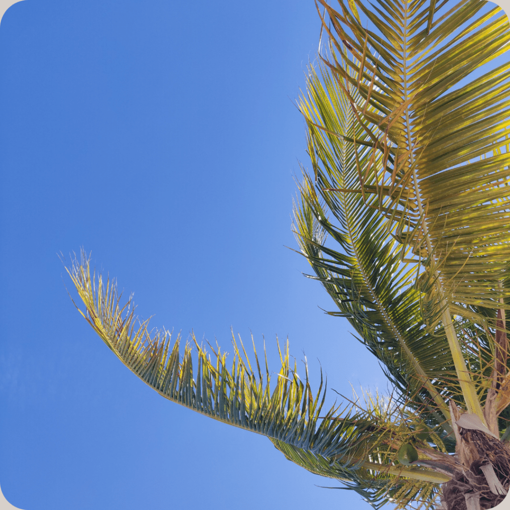 Wonen in het&nbsp;buitenland